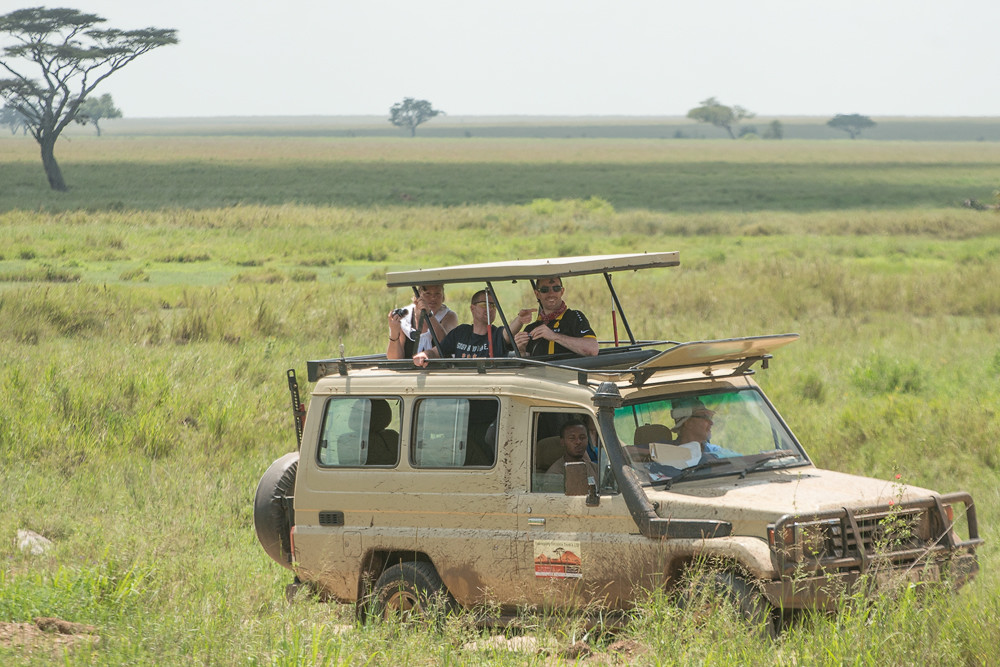 comfortable-safari