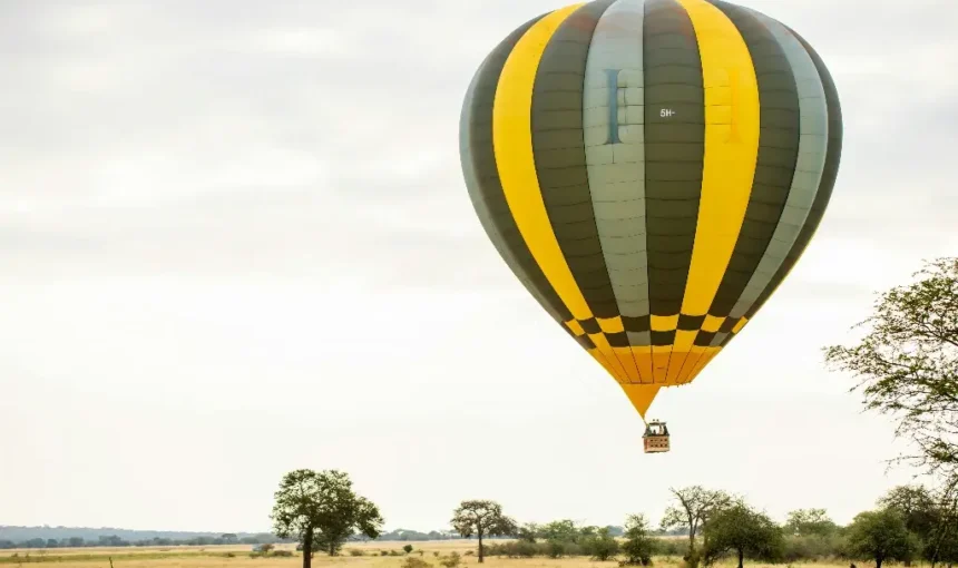 Best Time to Visit Kenya for a Safari (2026 Guide)