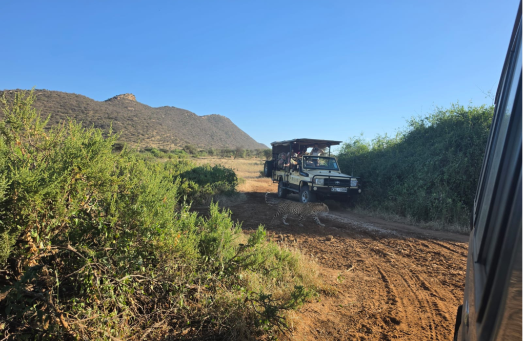 7 day Samburu Nakuru safari — game drive vehicle in Samburu