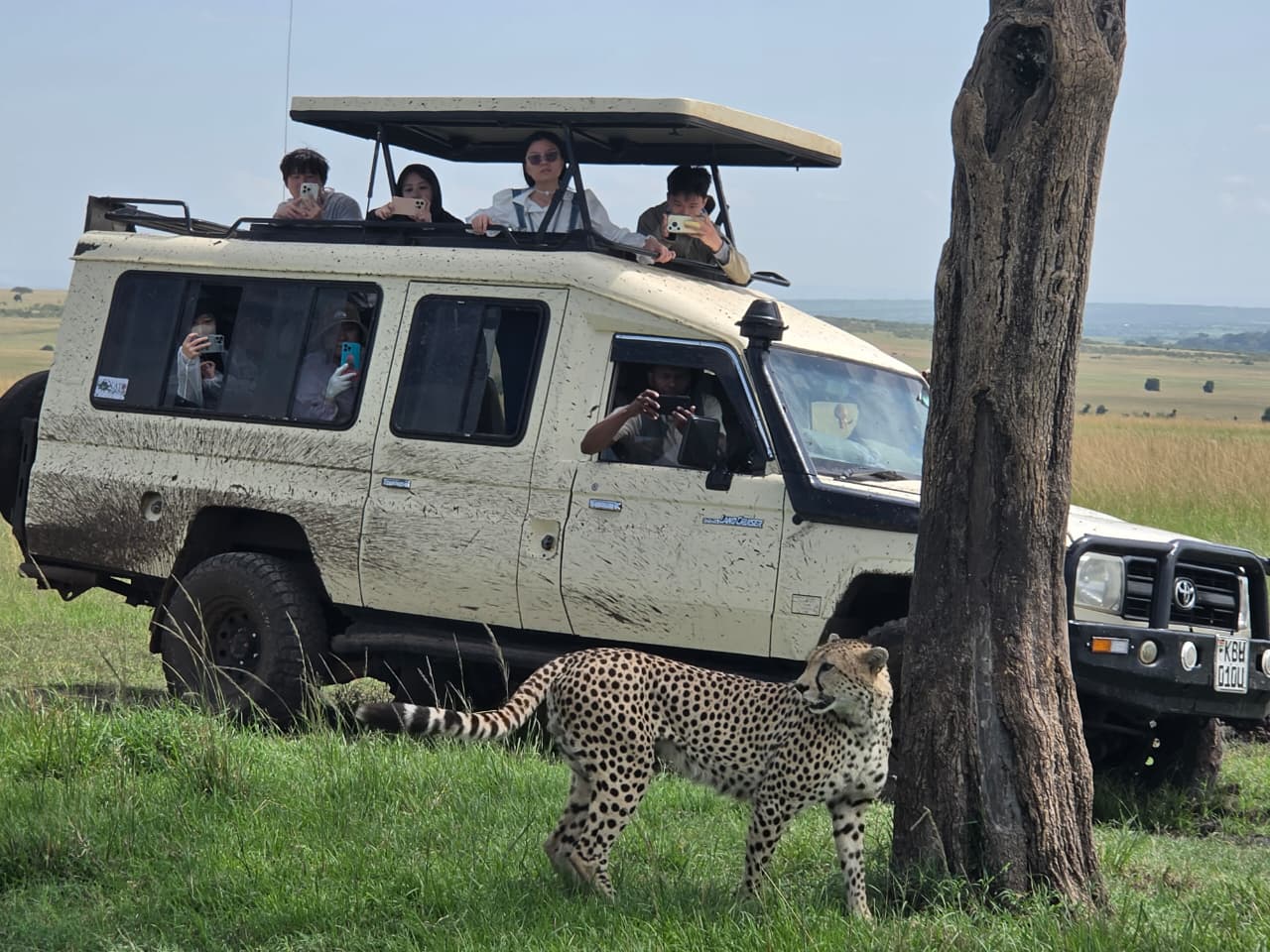 3 day maasai mara migration safari game drive