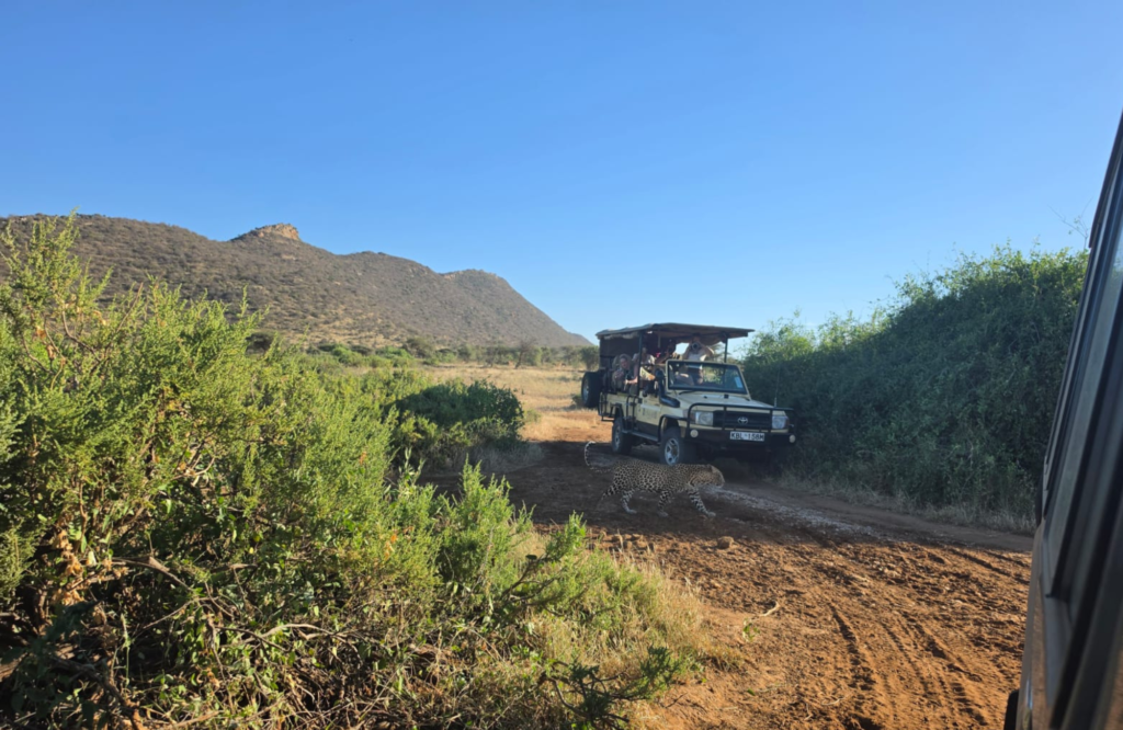Samburu National Reserve landscape