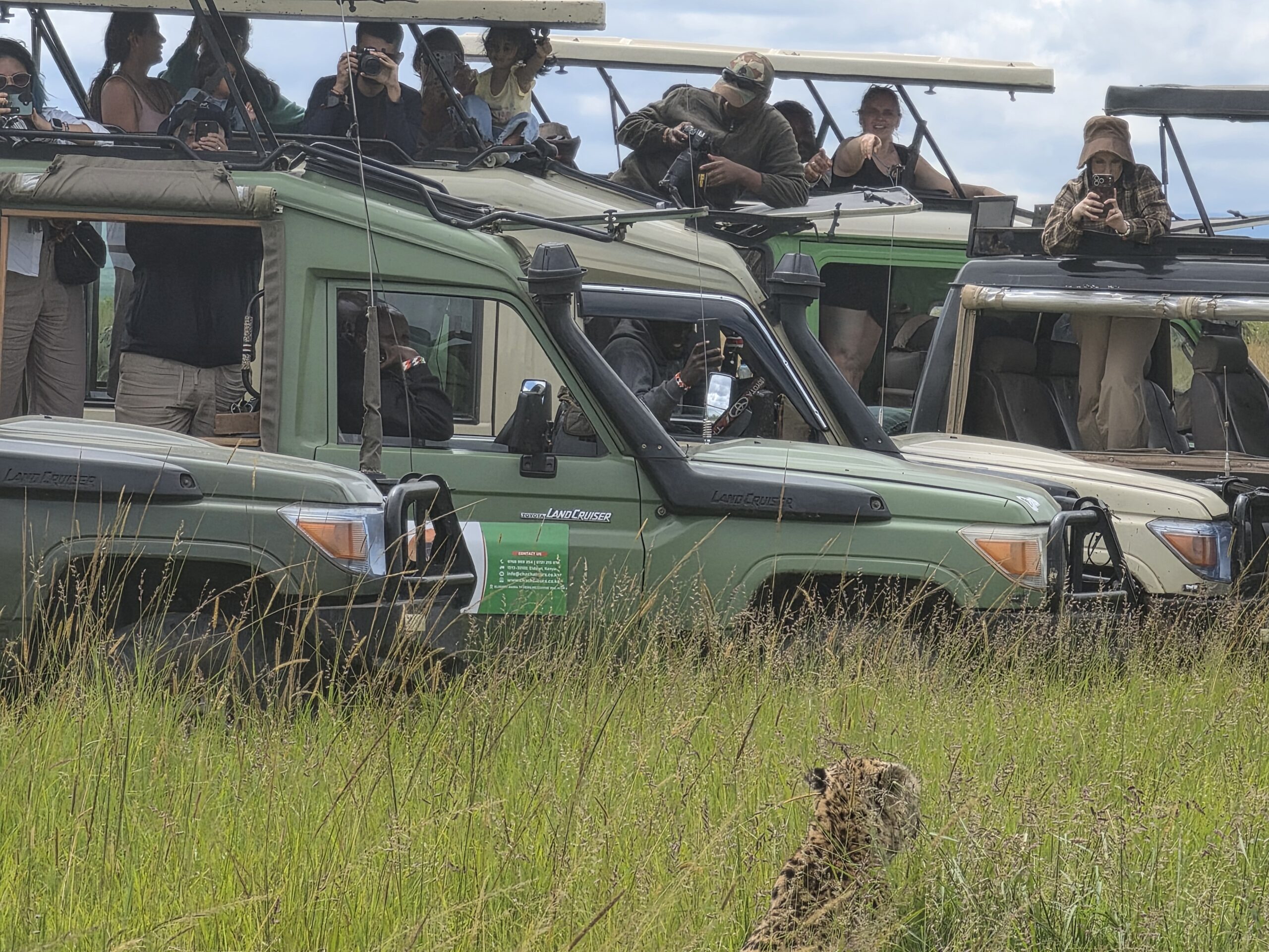 Maasai Mara vs Serengeti — game drive vehicles in the Mara