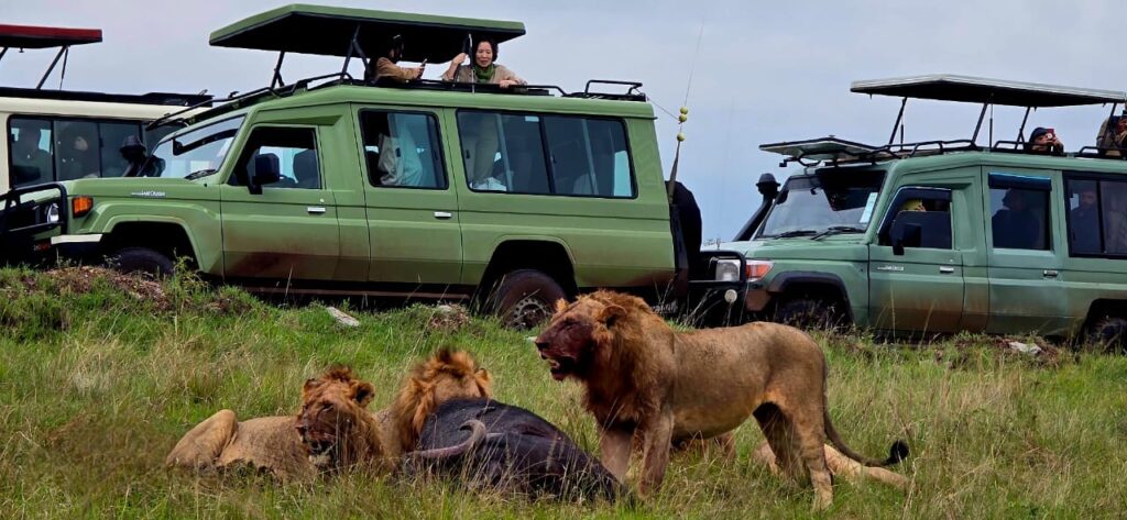 Budget safari vehicle in Kenya