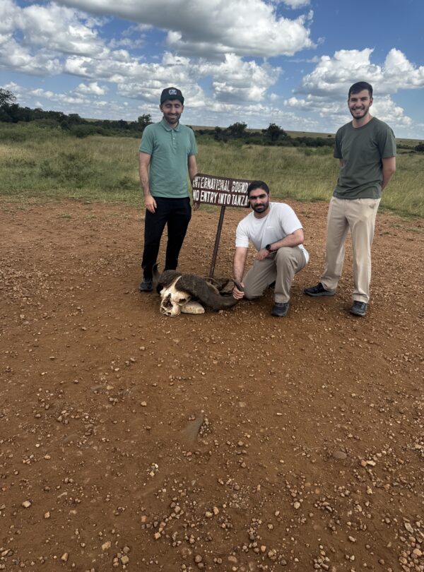 Family friendly safarii