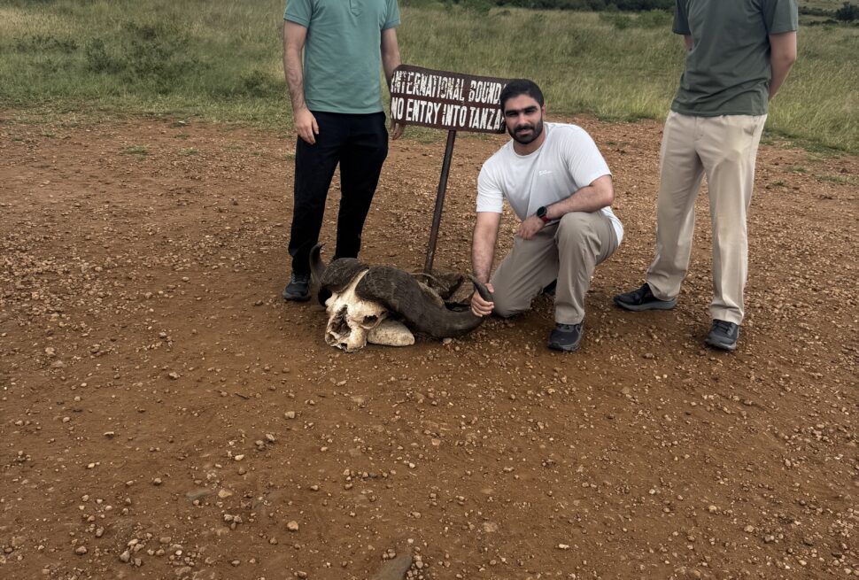 Family friendly safarii