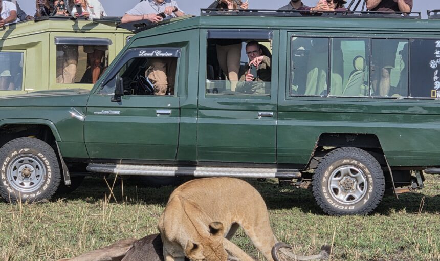 Budget Safari Kenya: Affordable Maasai Mara From $470