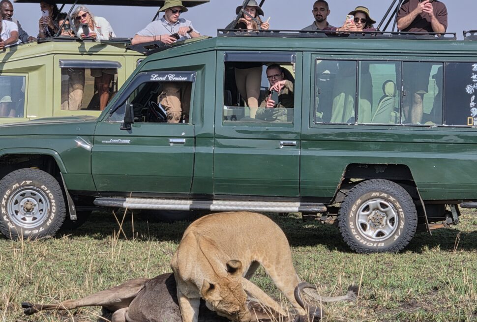 budget safari kenya group joining safari jeep