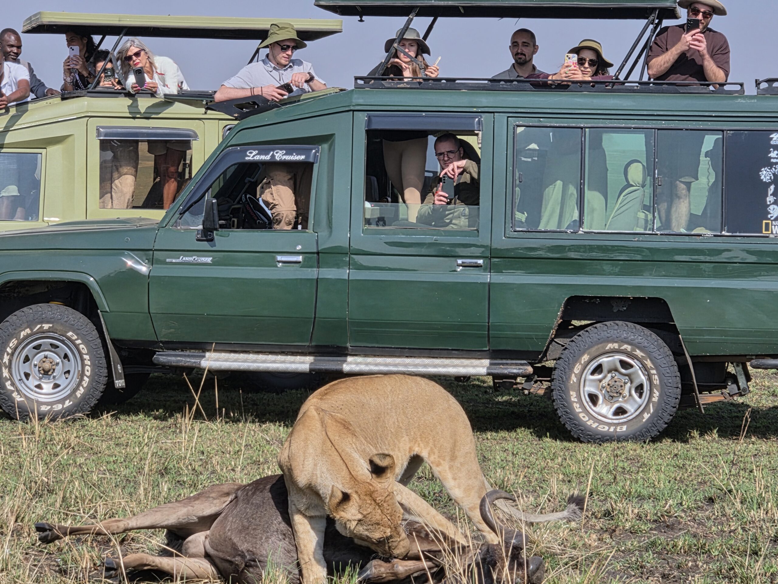 budget safari kenya group joining safari jeep